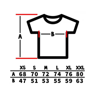 Koszulka polo męska z nadrukiem - 100% bawełna 210g